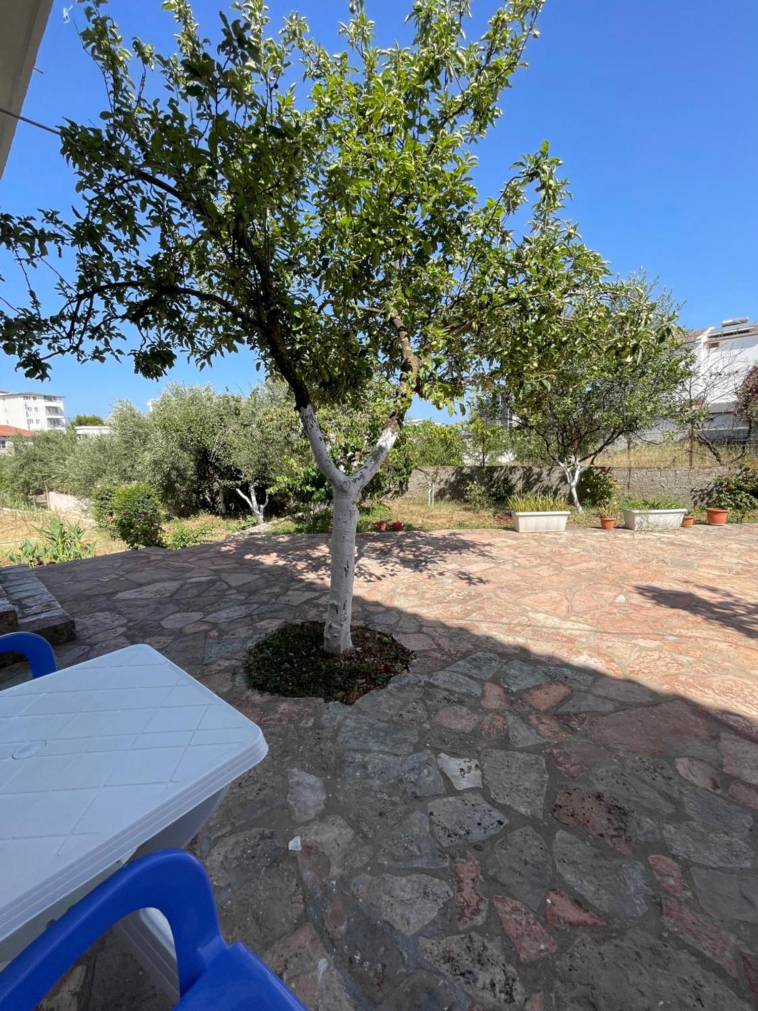Guesthouse Dollomaja קסאמיל מראה חיצוני תמונה